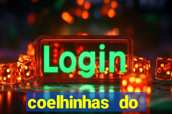 coelhinhas do brasil recife